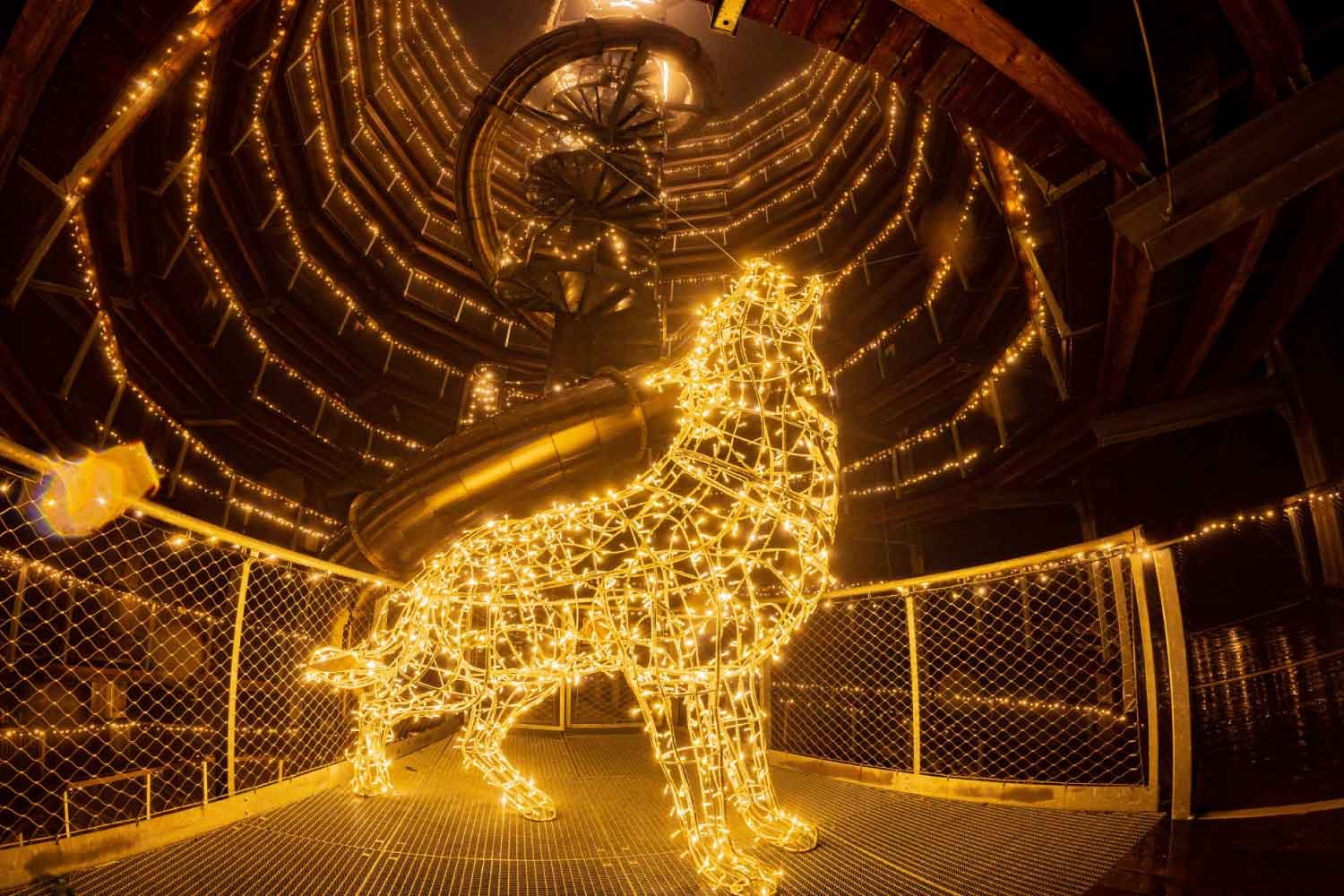 Stezka korunami stromů v Janských Lázních zve na noční prohlídky