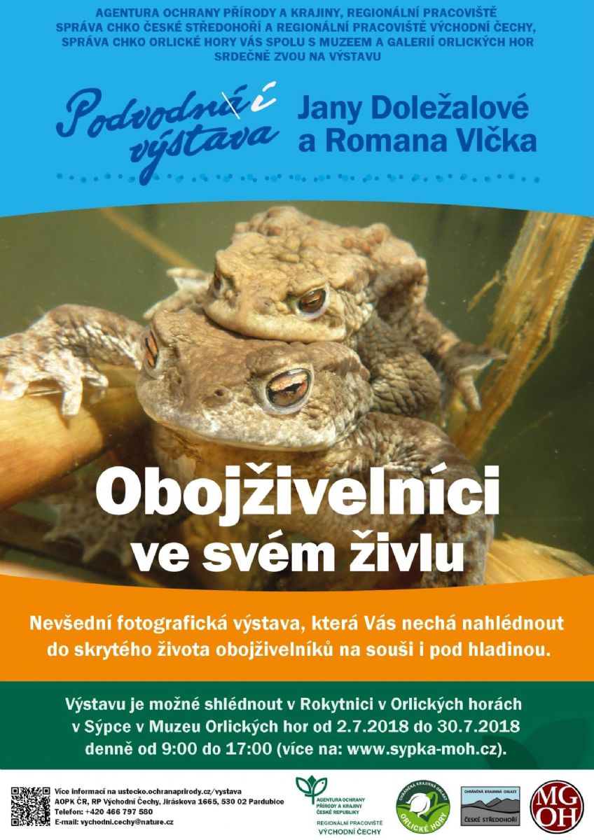obrázek: Sýpka zve na podvodní výstavu