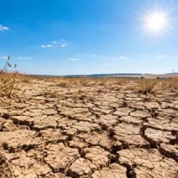 Climate Week Prague nabídne v Praze přes 50 akcí o klimatu. Začne 14. září v planetáriu