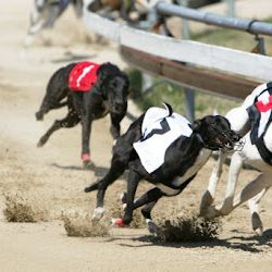 Výstavba v Praskačce rozděluje obyvatele