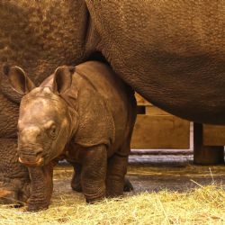 Plzeňská zoo dnes startuje sezónu, DinoPark otevře až v dubnu