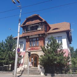 Vila Anička a její okolí čelí zástavbě