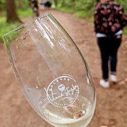 Bolevák dnes patří vínu. Jubilejní Vinná stezka nabídne 20 vinařů i večerní hudbu