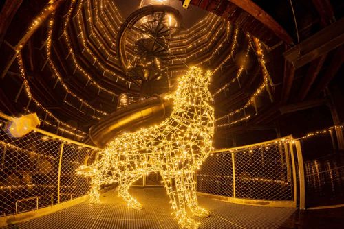 obrázek:Stezka korunami stromů v Janských Lázních zve na noční prohlídky