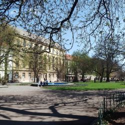Policie hledá svědky. Jezdec na kradené koloběžce v Kopeckého sadech srazil ženu a utekl