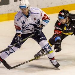 Simon vystřelil výhru Plzni, Plzeň porazila Litvínov 3:2