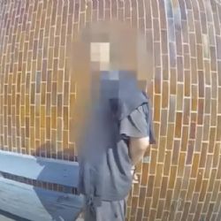 U metra Veleslavín zasahovali strážníci proti opilému muži, poškodil sanitku a skončil v poutech