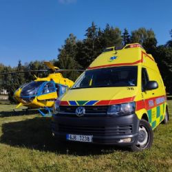 Vysočina: záchranáři během prázdnin vyjeli k 9 541 událostem. Výrazně přibyly alergie po bodnutí hmyzem