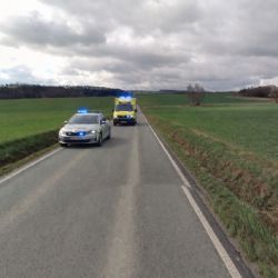 Třetí smrtelná nehoda za víkend. Audi u Horšovského Týna narazilo do stromu