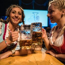Víkend v Plzeňském kraji bude nabitý - letadla, víno, pivovary, koncerty, Treffpunkt i Arabfest