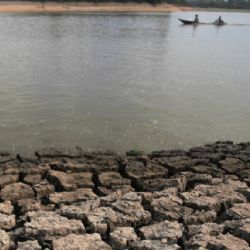 Září zmírní vedra a přinese déšť. Hluboký deficit vody ale rychle nezmizí