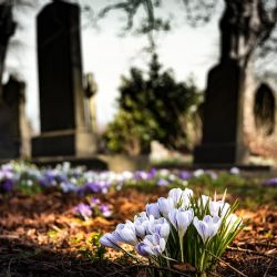 Ulrichův pomník: Třetí pokus o sochu pro Hradec Králové