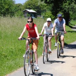 Češi jezdí rádi na kole, v posledních letech vzniklo 3240 km chráněných stezek