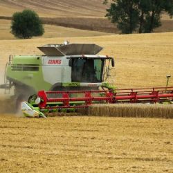 Deštivý červenec nezastavil skvělou úrodu v Královéhradeckém kraji