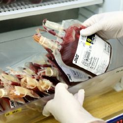 Přijďte darovat krev, vyzývají nemocnice. V Domažlicích a Klatovech chybějí všechny skupiny