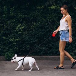 Přísnější pravidla pro psy v zámeckém parku a u Karvinského moře