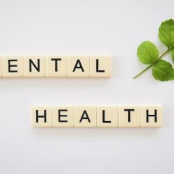 Sociální rehabilitace pro mentálně postižené v Hradci Králové