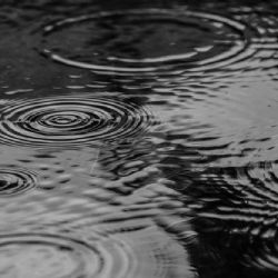 Týniště šetří vodu: nový mycí box a e-parkoviště