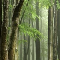 Krajští radní podpořili vznik návštěvnického střediska ve Zdobnici