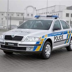 Lupič dopaden během pár dní