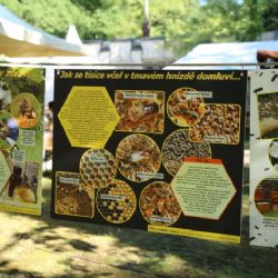 Na Medové slavnosti zamířily téměř tři tisíce lidí. Soutěžilo se o nejlepší med i medovinu