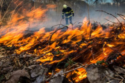 obrázek:V celém Královéhradeckém kraji platí zákaz rozdělávání ohně ve volné přírodě