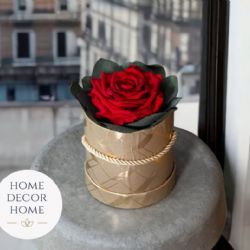 Sháníte stabilizované květiny? Vsaďte na věčné růže!